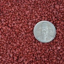 가훼하우스 선인장사 1kg, _