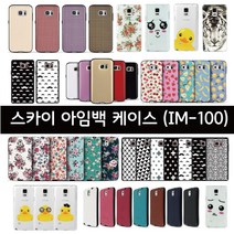 스카이 - 아임백 (IM-100) 케이스