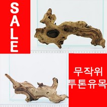 프리미엄 투톤유목 - 무작위, 1개, 1개