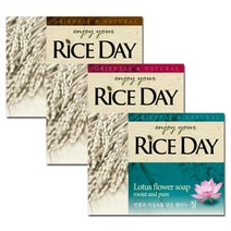 CJ라이온 라이스데이비누 목욕비누, 100g, 라이스데이비누윤100gX10개, 100g