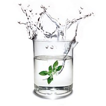 마타바 네놀리 워터 (diy재료), 500ml, 1개