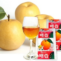 대원건강푸드 휴롬공법 농사지은 배100% 배즙, 100ml, 50포