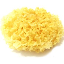 갑당약초 흰목이버섯 은이버섯 500g, 2봉