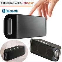 SK네트웍스 블루투스 스피커 SK-BTS100 블루투스스피커, 블랙