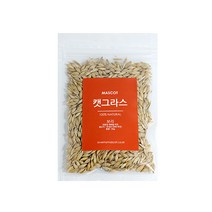 마스코트 캣그라스 재배용 씨앗 (50g), 1봉, 보리