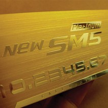 메탈맥스 알루미늄 주차번호판-HC 르노삼성SM6 QM6, 실버 || HC-8번-QM5 네오, 1개