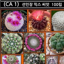 리톱스 나라 씨앗, (CA 1)선인장 믹스 씨앗 100립, 1개