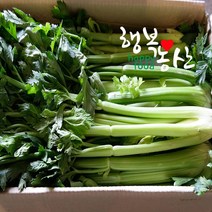 싱싱한 당일작업 샐러리 3~10kg 셀러리, 1box, 샐러리 3kg내외