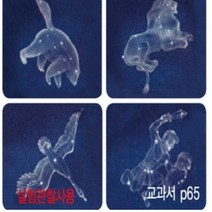 (사이언샵)별자리그림카드 4종/별자리그림붙임딱지, 상세설명참조