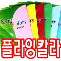 삼원 칼라복사용지 플라잉칼라 A4 120g 20매 칼라복사지, E33 물색