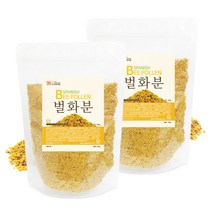 갑당약초 벌화분(비폴렌), 2개, 500g