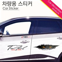 달리자닷컴 프리미엄 럭셔리 자동차 스티커, 4.자동차스티커-3D입체(고양이눈), 1개