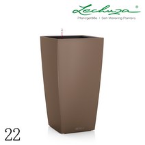 레츄자 큐비코 컬러 22, 넛멕(무광)