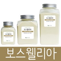 바른건강 TV방송인기제품 보스웨일리아 추출물 분말 파우더 가루 보스웰리아, 300g, 1개