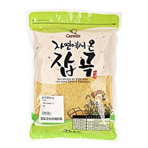 영천농산 찰기장(중국산)1kg