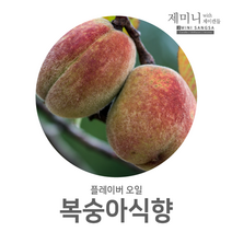 제미니상사 복숭아식향, 1개, 50ml