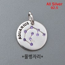 비즈아이 [8-560-01]실버팬던트(큐빅별자리/물병자리-AQUARIUS) 11.5mm(O링1*3mm) (은92.5%/OR) [1개]