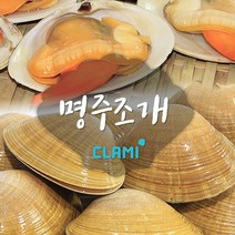 클래미 명주조개, 1팩, 1kg