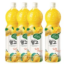 자연은 망고 1.5L, 4개