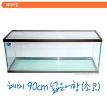 혜미 3자 넓은 어항, 초코