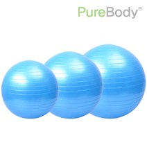 PureBody 안티버스트 스트라이프 짐볼