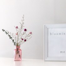 핑크 시약병(125ml), 단품