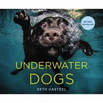[해외도서] Underwater Dogs hardback, Little Brown & Co