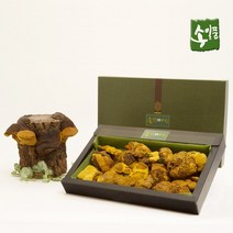 송일품 상황버섯(목질진흙버섯) 350g, 1개, 1개
