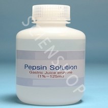 펩신(Pepsin)