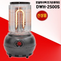 로얄하이텍 DWH-2500S 온풍전기난로