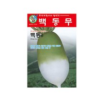 백동무씨앗 15g