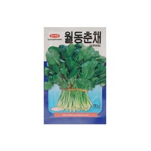 월동춘채(순무유채)씨앗 20g