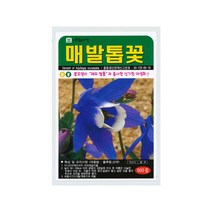 매발톱꽃씨앗 500립