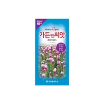 수입야생화씨앗 100선 리아트리스 100립