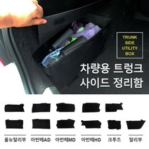 올뉴말리부 트렁크정리함 2P