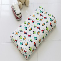 홈메이드 메모리폼 베개 라텍스 경추 목베개 13종, 자동차-커버만