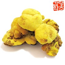 갑당약초 국내산 상황버섯 100g, 2개