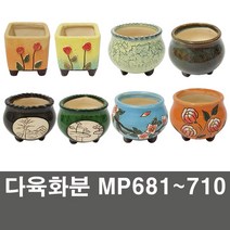 화분백화점 다육화분 미니화분 화분, 제품명