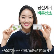 정직한가게1993 바른산소 탁상용, 수줍은백화