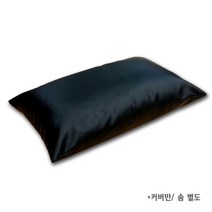 6230 월드 다용도 위생 레자베개, 30x50, 블랙