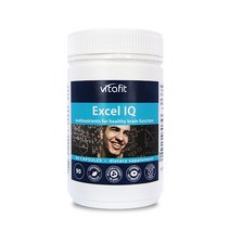 비타핏 엑셀아이큐 IQ 90캡슐 1통, 2000mg, 1개