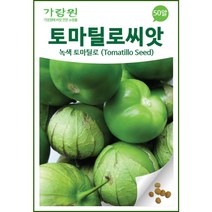 토마티요씨앗 토마틸로씨앗 토마티요 토마틸로 50알