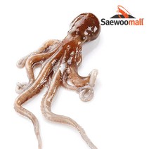 새우몰 냉동 활낙지(중) 850g 6미, 1개