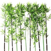 호가 인조대나무 나무조화 푸른대나무 대나무조화 조경 인테리어 셀프인테리어 대나무