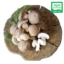 친환경팔도 무농약 송이향 송화고버섯 500g 1kg, 1박스, (특품)1kg