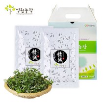 양원농장 인진쑥즙 80ml*50포, 50포, 80ml