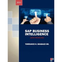 SAP Business Intelligence: (Data Modeling) Paperback, Outskirts Press