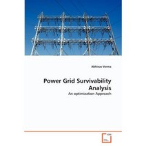 Power Grid Survivability Analysis Paperback, VDM Verlag