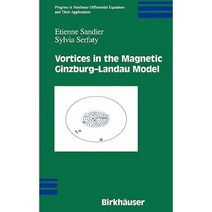Vortices in the Magnetic Ginzburg-Landau Model Hardcover, Springer
