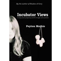Incubator Views: A Story of Teen Pregnancy and the Struggle of Her Preemie Hardcover, iUniverse